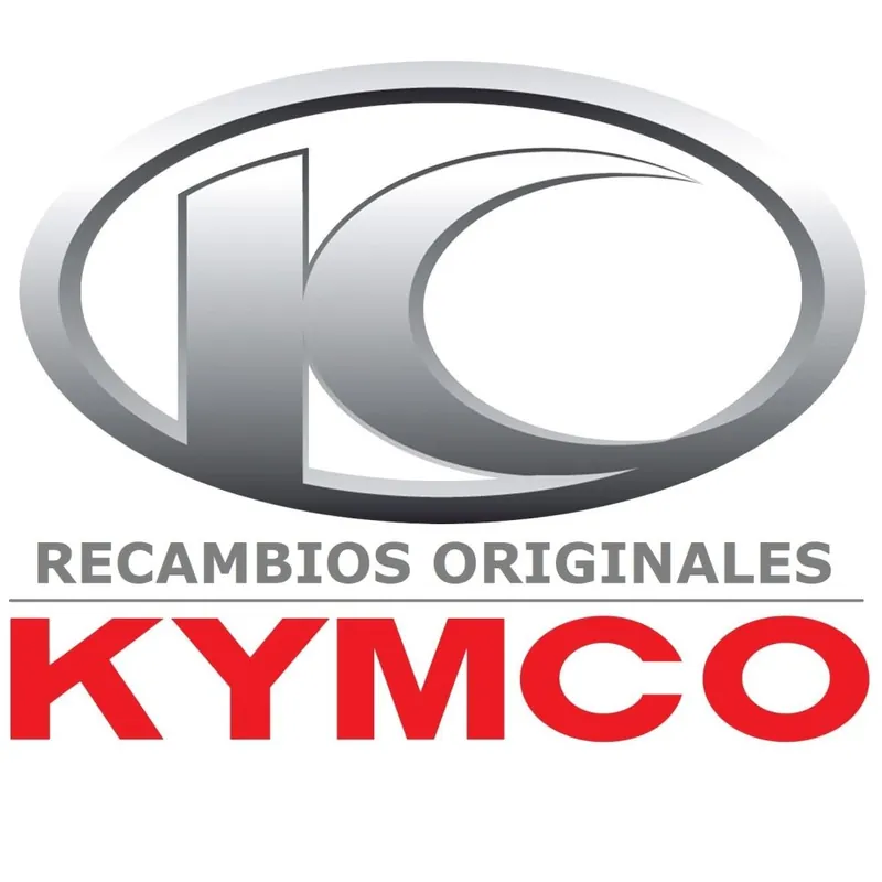 RECAMBIO KYMCO TAPA DERECHA 11336-LBA8-C0 Precio Reducido